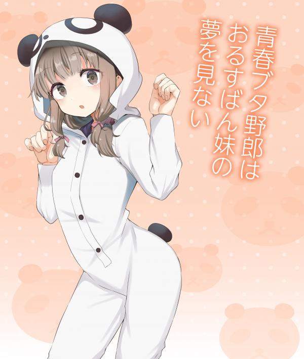 Seishun Buta Yarou wa Orusuban Imouto no Yume wo Minai Seishun Buta Yarou wa Orusuban Imouto no Yume wo Minai