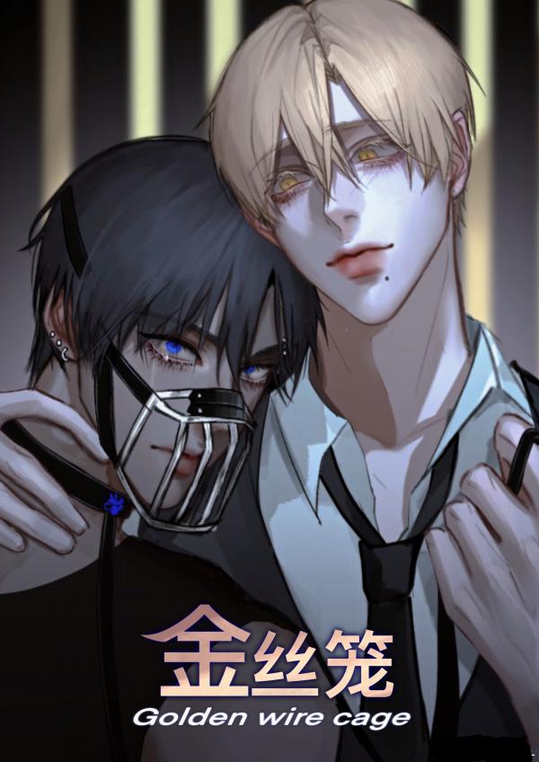 Golden Wire Cage Golden Wire Cage